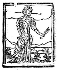 21761-10.jpg