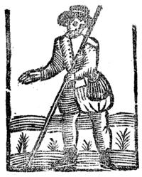 21772-10.jpg