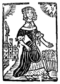 21773-10.jpg