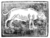 21790-10.jpg