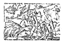 21795-40.jpg