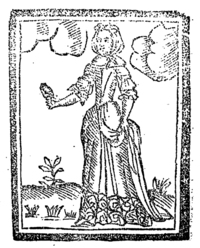 21799-40.jpg