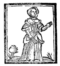 21827-20.jpg