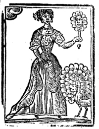 21841-20.jpg