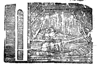 21856-20.jpg