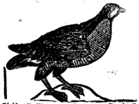 21928-20.jpg