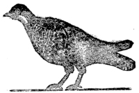 21930-20.jpg