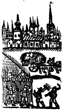 21959-20.jpg