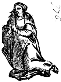 22003-40.jpg