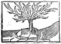 22028-10.jpg