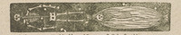 22236-20.jpg