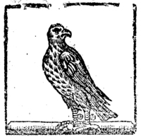 22411-10.jpg
