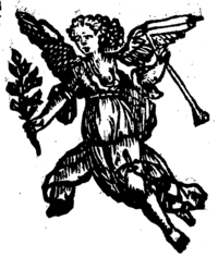 22417-30.jpg