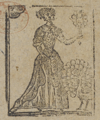 30150-10.jpg