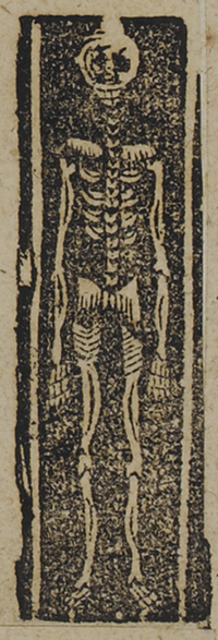 30200-30.jpg