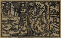 30252-10.jpg