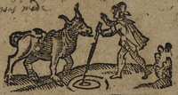 30257-20.jpg
