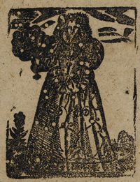 30257-40.jpg