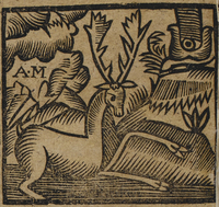 30258-20.jpg
