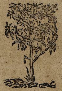 30281-40.jpg