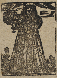 30342-20.jpg