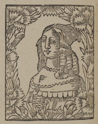30430-20.jpg