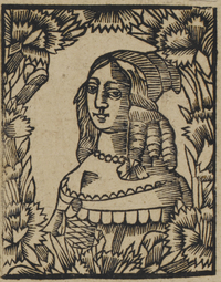 30437-20.jpg