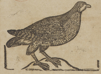 30452-10.jpg