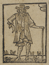 30550-10.jpg
