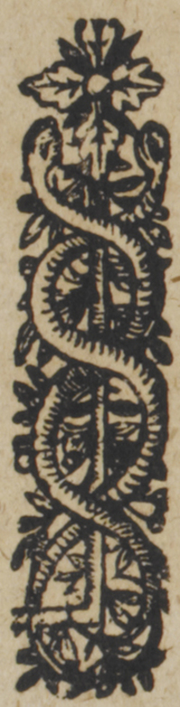 30552-10.jpg