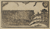 30552-20.jpg