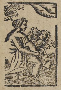 30555-10.jpg