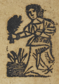 30568-60.jpg