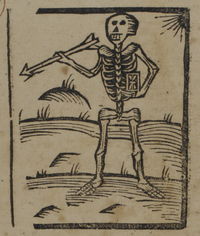 30571-20.jpg