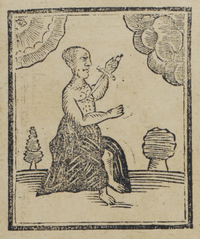30576-10.jpg