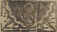 30623-10.jpg