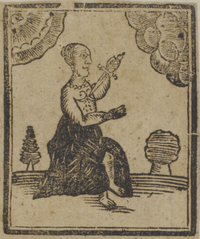 30646-30.jpg