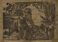 30726-30.jpg