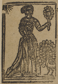 30772-10.jpg