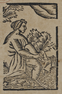 30916-10.jpg
