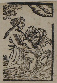 30940-30.jpg