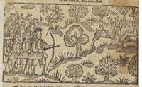 30987-10.jpg