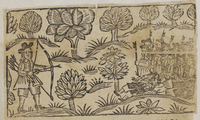 30987-20.jpg