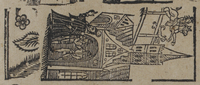 30995-30.jpg