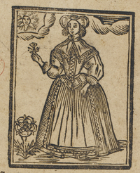 31015-20.jpg