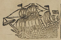 31038-10.jpg