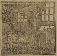 31051-20.jpg