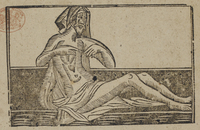 31064-10.jpg