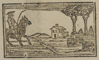 31091-10.jpg