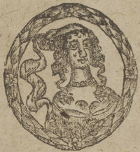 31136-10.jpg